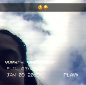 Meet your Posher, Stella